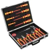 Coffret De Tournevis Et Pinces NEO TOOLS 01-234 1000V 5